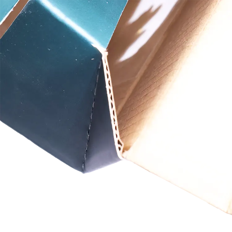 Window Gift Boxes